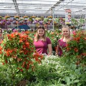 Den Garten erblühen lassen
