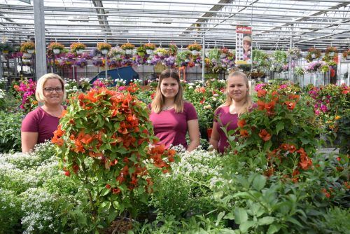 Rebecca Fritsch, Leonie Rath und Lorena Schnetzer vom Rosen Waibel Team freuen sich schon auf eine blühende Gartenzeit. 