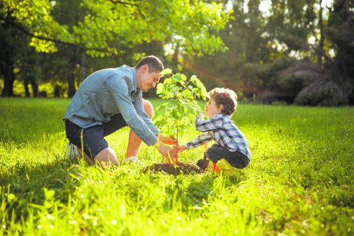 Voraussetzung für das Pflanzen des Baumes ist ein nicht gefrorener Boden. IStock