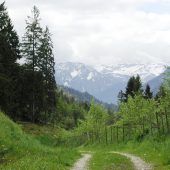 Verstecktes Ökosystem