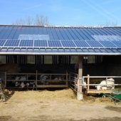 PV-Technik in der Landwirtschaft