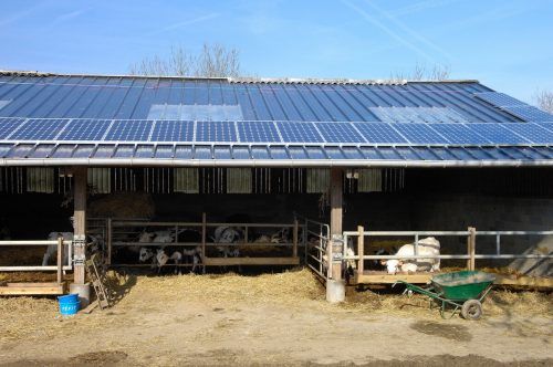 Auch landwirtschaftliche Gebäude eignen sich für PV-Anlagen. shutterstock