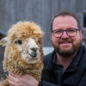 Ein Alpaka Abstand