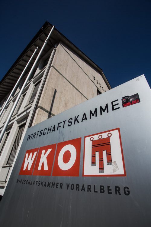 Das neue Präsidium der Wirtschaftskammer birgt Überraschungen.  vn