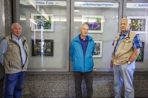 Der Bahnhofswarteraum als Ausstellungsraum. Josef Benko, Walter Neßler und Oskar Jungbauer (v. l.) gestalten ihn gerne.  mel