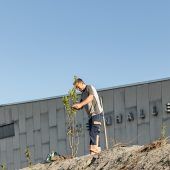 Lustenau sorgt sich um Wildbienen