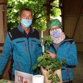 Setzlinge im Schäflegarten begehrt