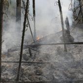 Am Nordpolarkreis drohen erneut riesige Brände
