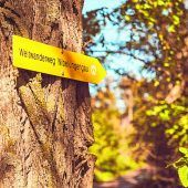 Weitwanderweg Nibelungengau