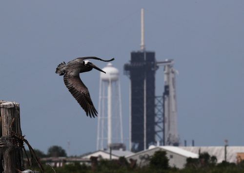 Eine SpaceX-Rakete soll US-Astronauten zur ISS bringen. AFP