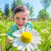 Der Frühling ist in Höchstform