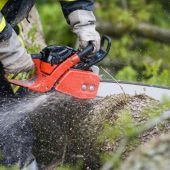 Schwerer Holzerunfall in Übersaxen