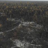Verheerende Waldbrände