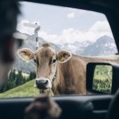Lech Zürs plant Autokino vor hochalpiner Kulisse