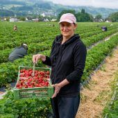 Bulgarische Erntehelfer sind in Vorarlberg