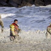 Drama auf See: Fünf Surfer vor holländischer Küste getötet