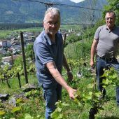 Wein von den heimischen Hängen