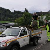 Erfolgreiche Grünmüllabholung