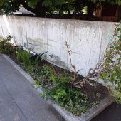 Aggressiv, betrunken, ohne Führerschein: Dornbirner begeht Fahrerflucht