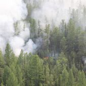 In Russland ist Naturfläche größer als Griechenland abgebrannt