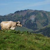 Alpen laden zur Sommerfrische