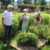 Kräutergartenprojekt als Ort des Miteinanders