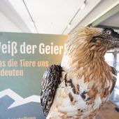 Zum Vorteilspreis in die inatura Dornbirn