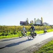 Mit dem Fahrrad durch das Weinland