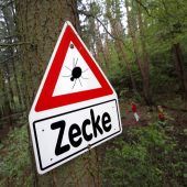 Zecken sorgen für Negativrekord