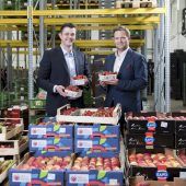 Fruchtbox sorgt für Vitamine am Arbeitsplatz