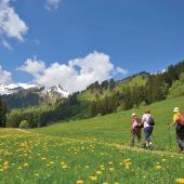 Wanderbegleiter sind gefragt