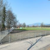 Dornbirn unterstützt Hundebesitzer mit Gutscheinen für Ausbildungskurse