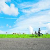 Mit Rückenwind über Deiche radeln