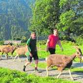 Deutscher Ministerpräsident auf Ziegenalpe im Bregenzerwald