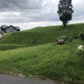 Aufstand in Lingenau