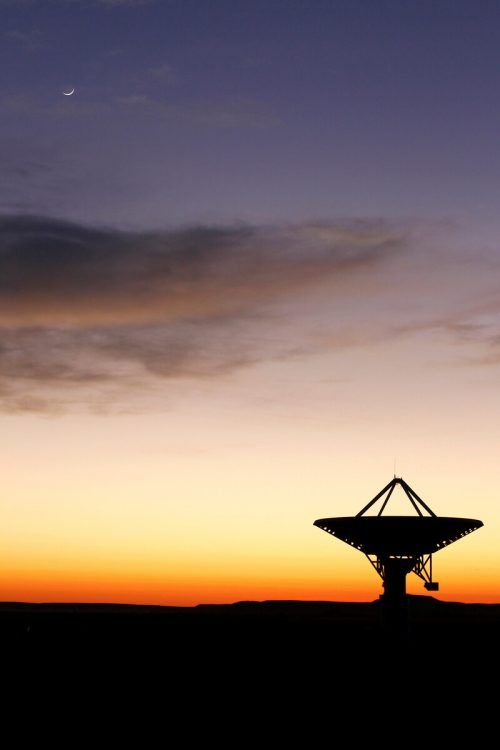 Das Forschungsprogramm SETI sucht seit Jahrzehnten nach außerirdischen Signalen. Reuters