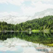 Naturparadies Reedsee