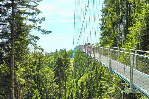 Die Brücke bietet neue Perspektiven auf die Naturlandschaft.  Shutterstock