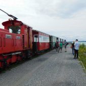 Rheinbähnle dampfte zur Rheinmündung