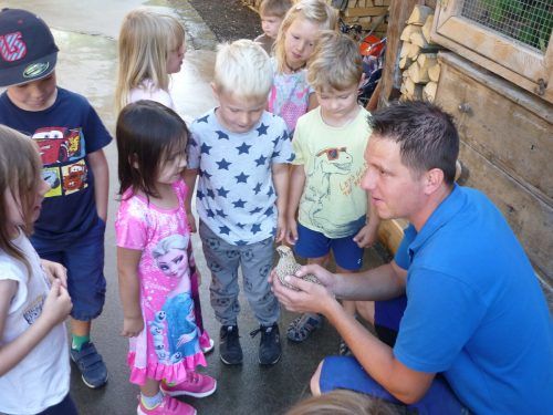 Die Kinder des Kinderhaus Wiki erhielten auf dem Bauernhof der Familie Marte einen Einblick in die Tierwelt.  Kinderhaus Wiki