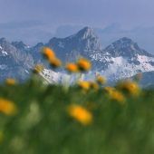 Klimaerwärmung trifft auch höhere Lagen in den Alpen