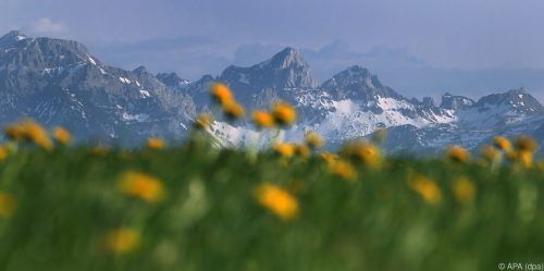 Die Sommer werden auch in den Bergen immer heißer.  dpa