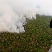 Hitzerekord von 38 Grad in russischer Arktis gemessen