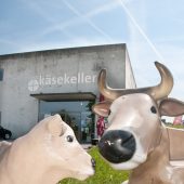Lingenauer laufen wegen Bauprojekt Sturm.  »A5