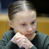 Thunberg erhält millionenschwer dotierten Preis für Menschlichkeit