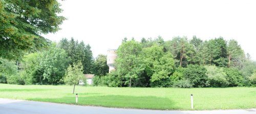 Im Schutzwald um den historischen Wasserturm hat die Waldkindergruppe einen idealen Standort gefunden.   ajk