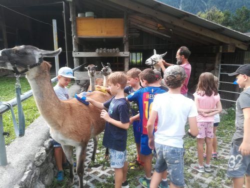 In Bludesch geht es für Kinder echt tierisch zur Sache. Gemeinde