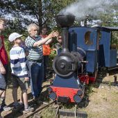 Russe baut in seinem Garten eigene Eisenbahnstrecke