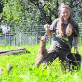 Baby-Füchse und Pinselohr im Wildpark eingezogen