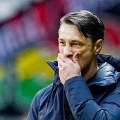 Neuer Job für Ex-Bayern-Coach